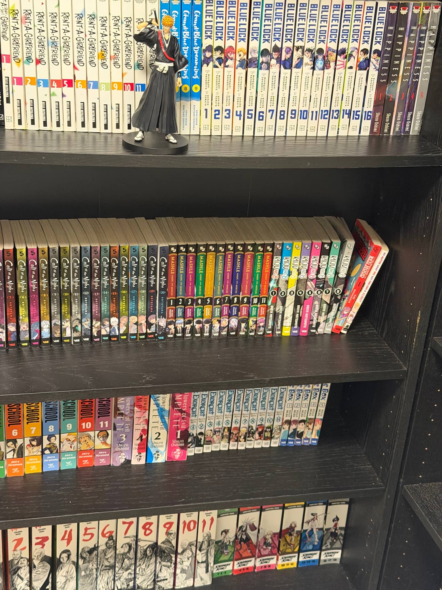 Shelf photo 3