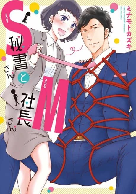 Sadistic Secretary and Masochistic President
