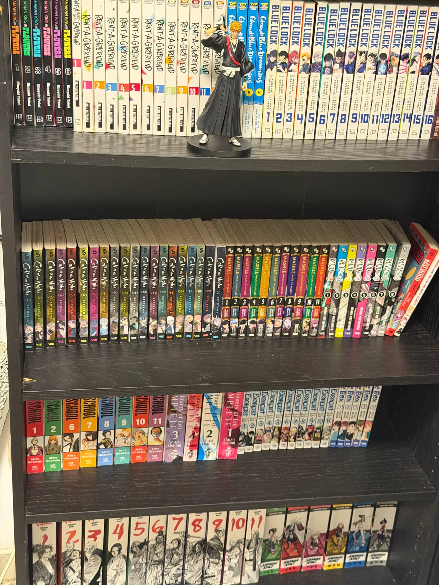 Shelf photo 4