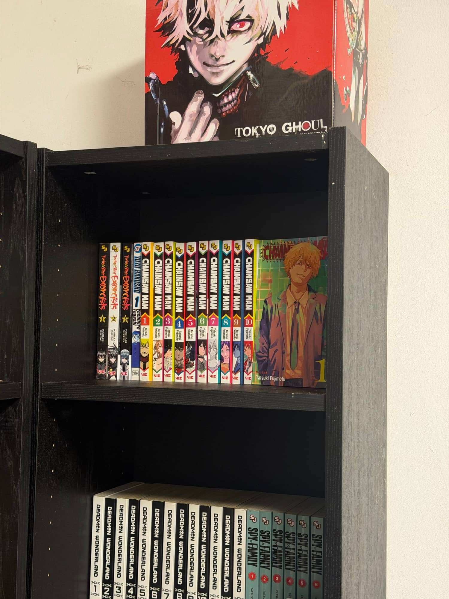 Shelf photo 5