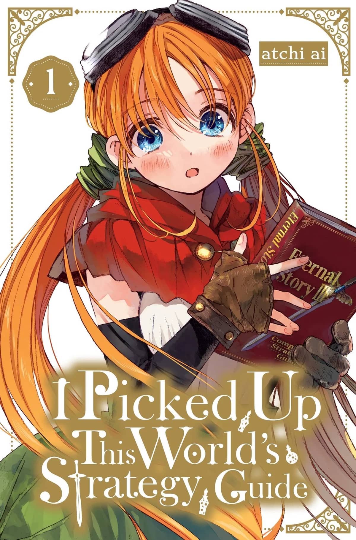 I Picked Up This World's Strategy Guide
