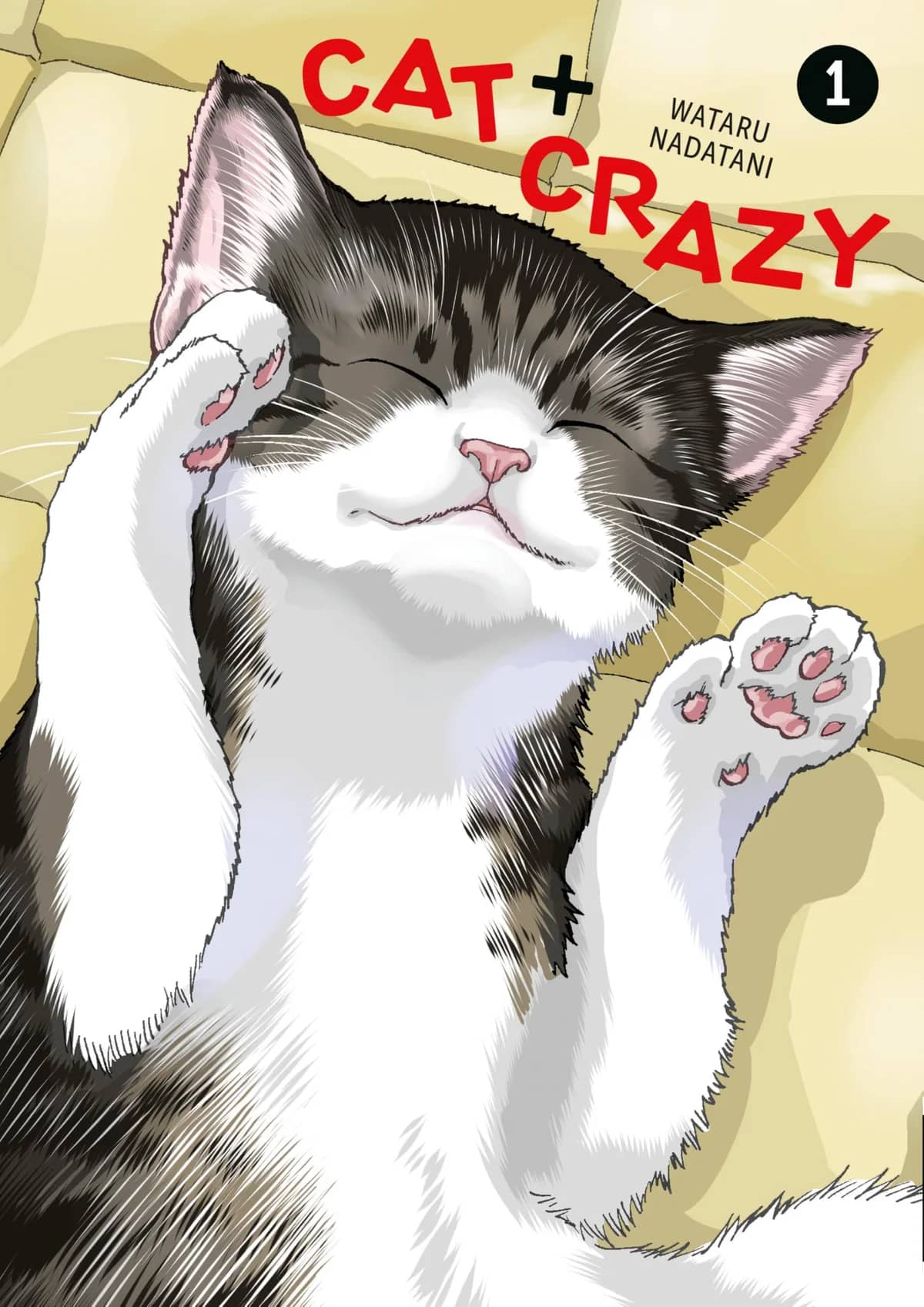 Cat + Crazy