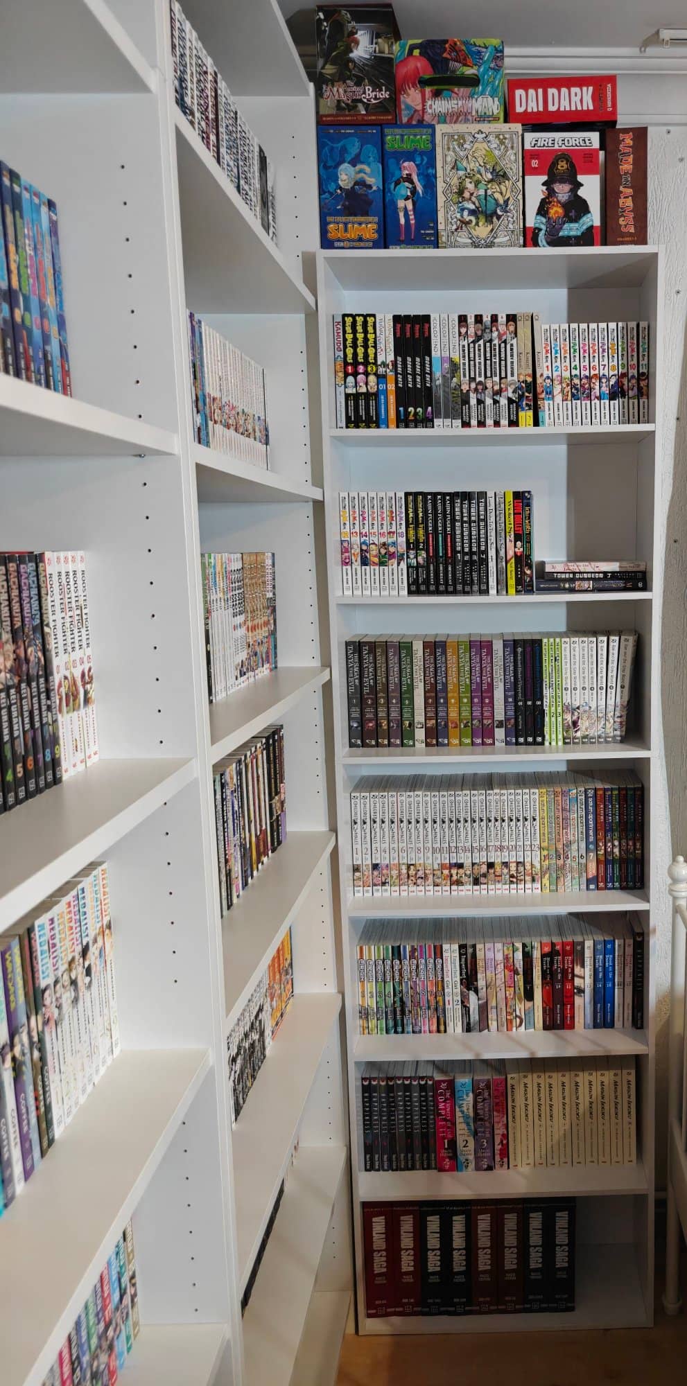 Shelf photo 2