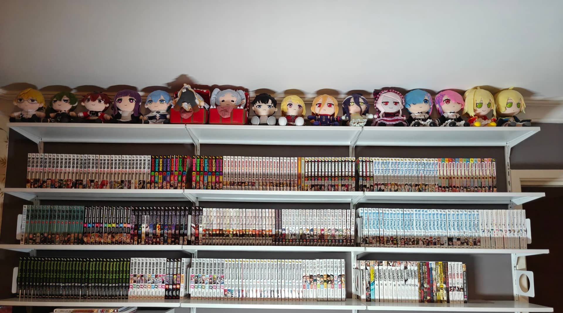 Shelf photo 3