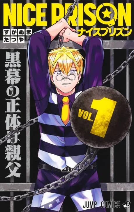 Nice Prison