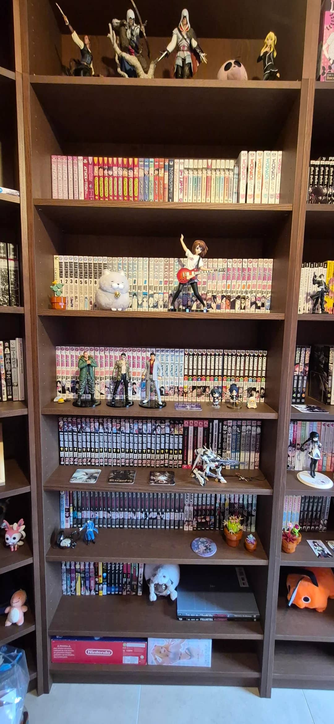 Shelf photo 1