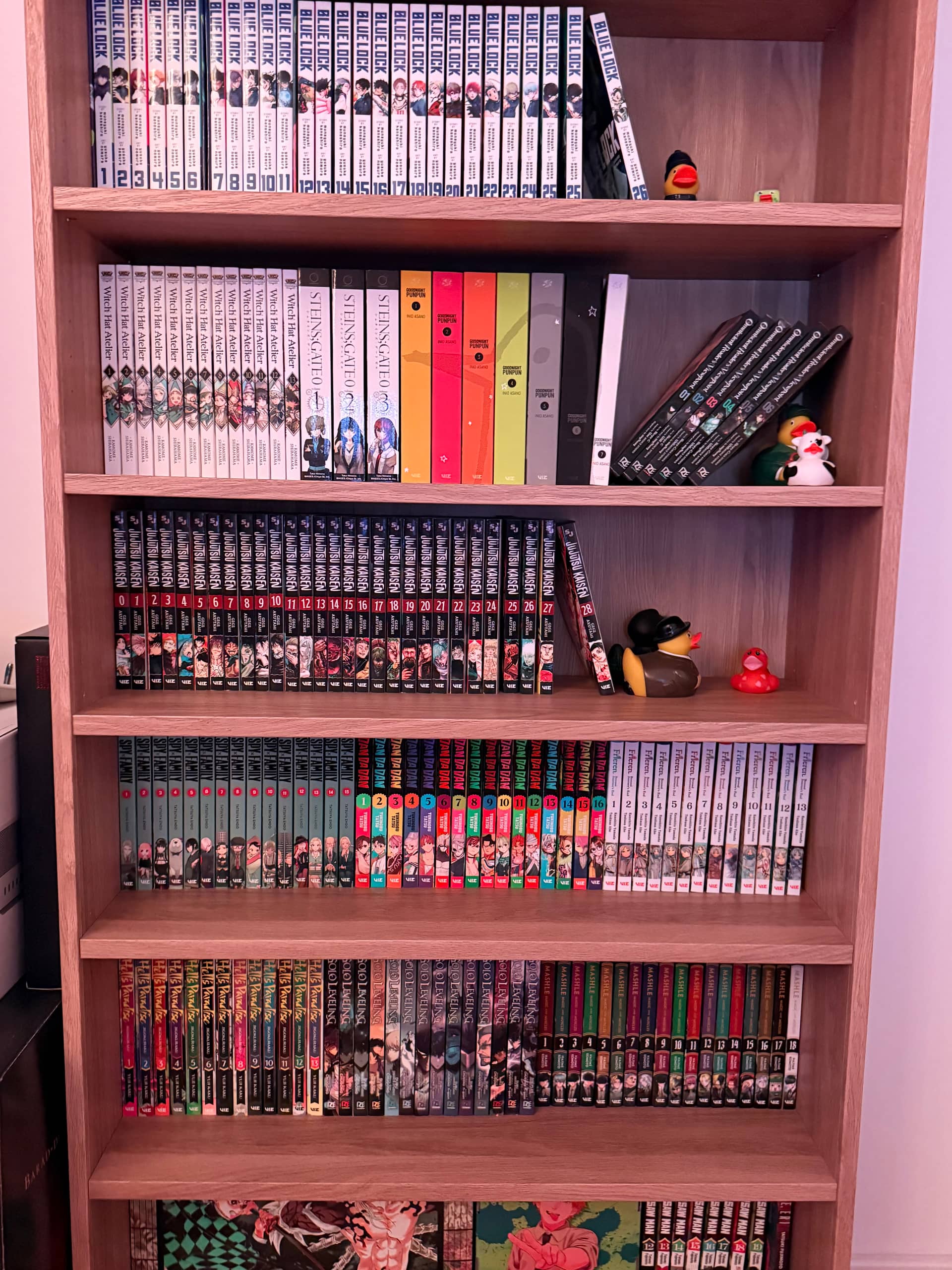Shelf photo 2