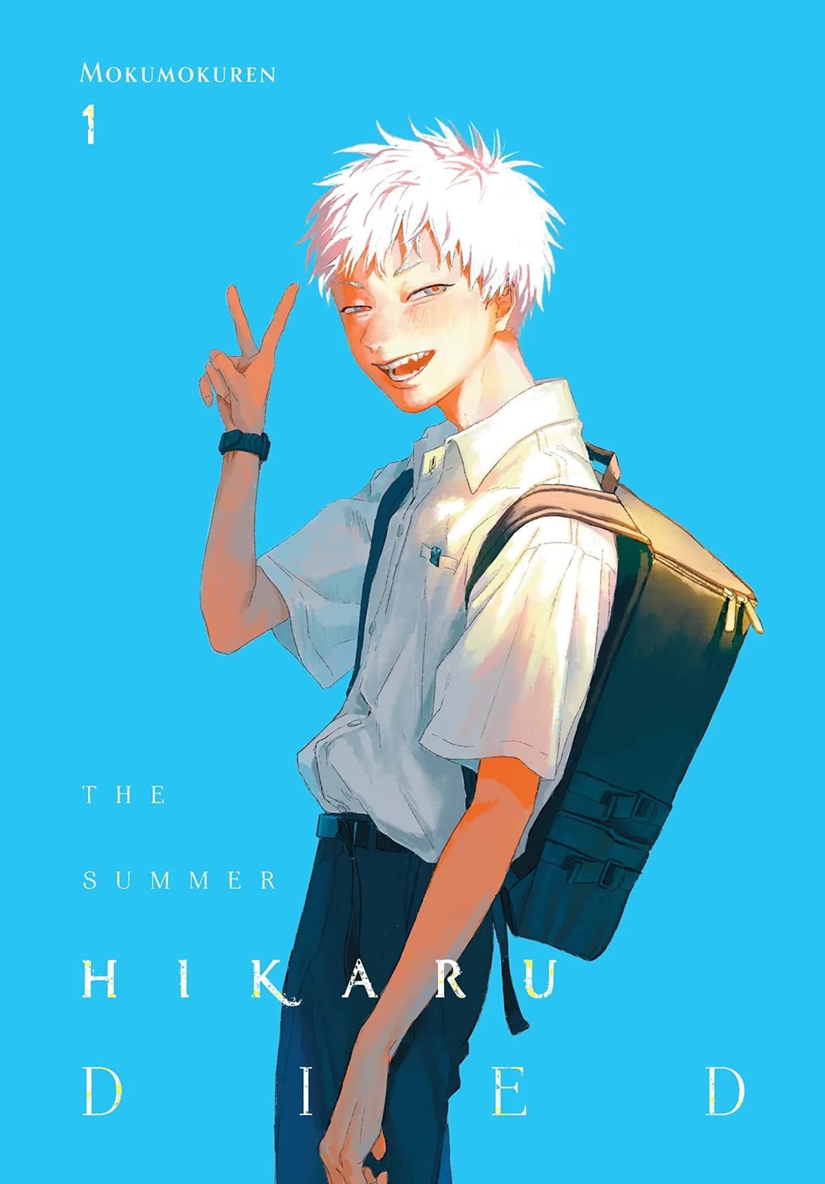 The Summer Hikaru Died